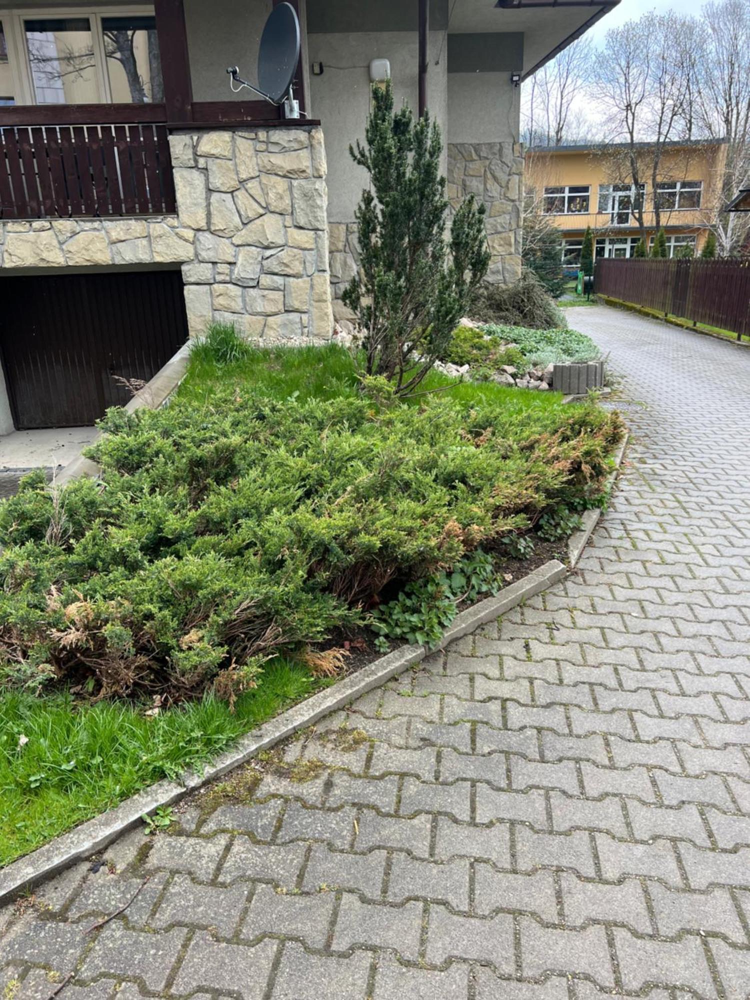 Apartament Sniezka Zakopane Kültér fotó